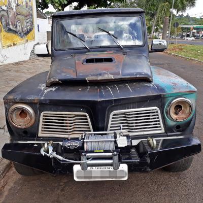 FORD F75 (MONTAGEM)