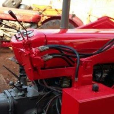 Trator Massey Fergusson 1971.19