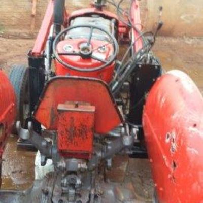 Trator Massey Fergusson 1971.4