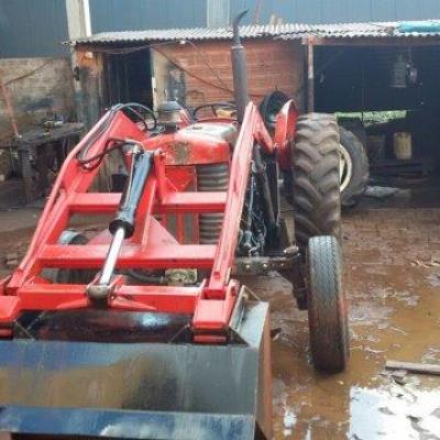 Trator Massey Fergusson 1971.5